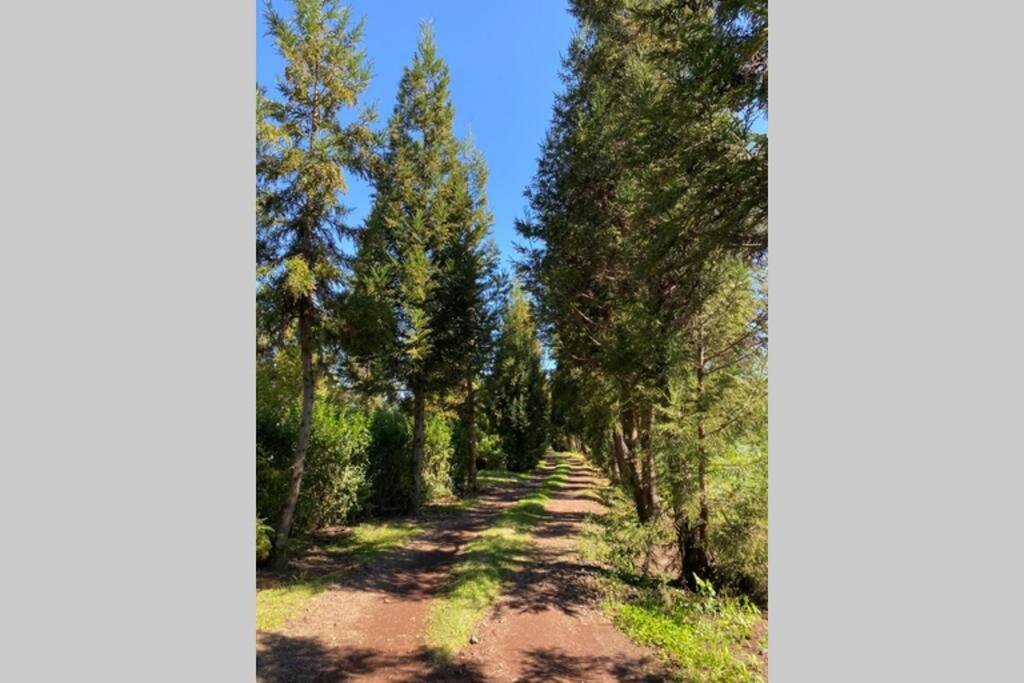Agreable Chalet Au Milieu Des Sapins ラ・プレンヌ・デ・カフル エクステリア 写真